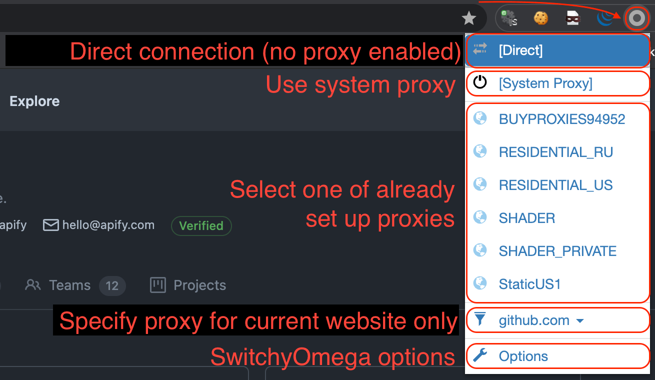 The SwitchyOmega interface