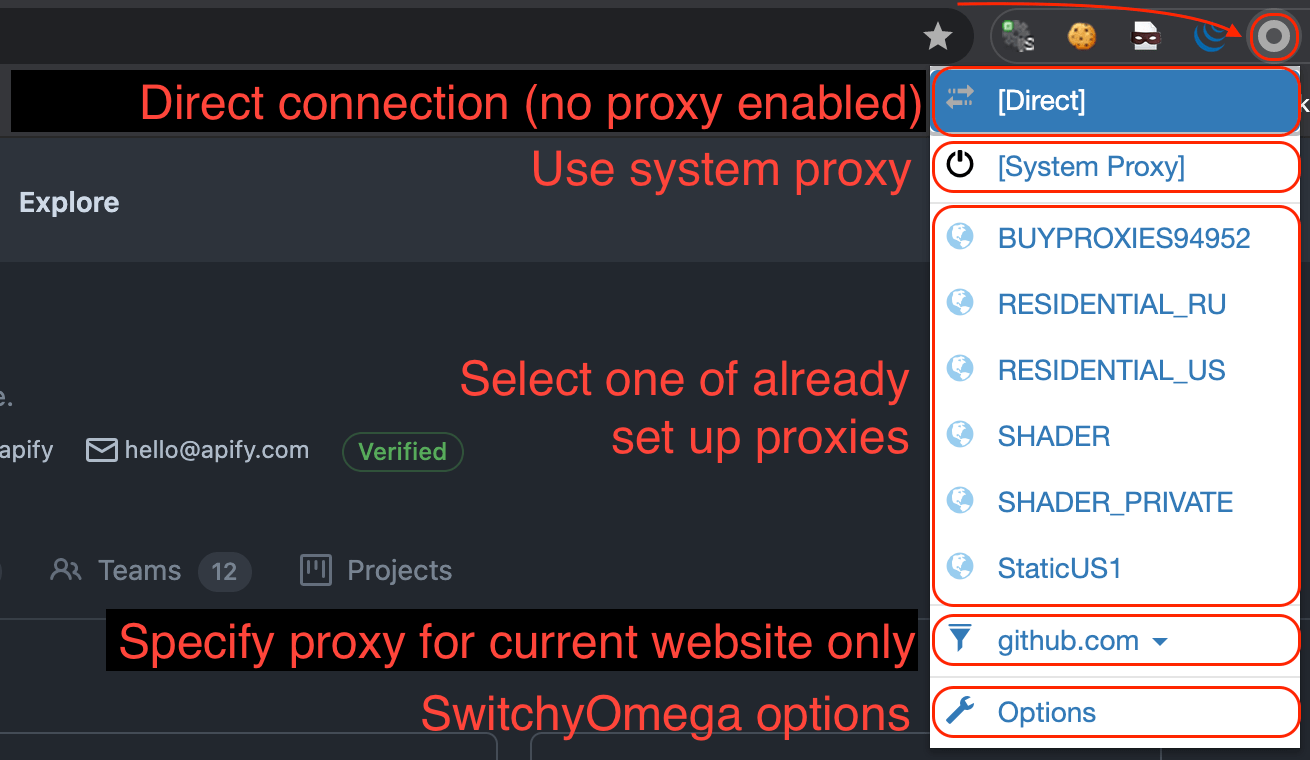 safari switchyomega extension