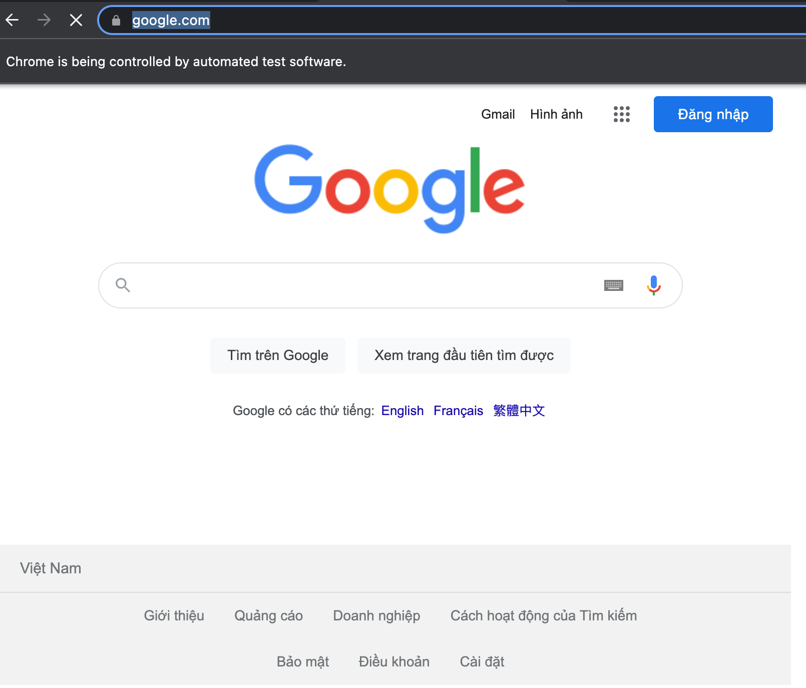 Vietnamese Google
